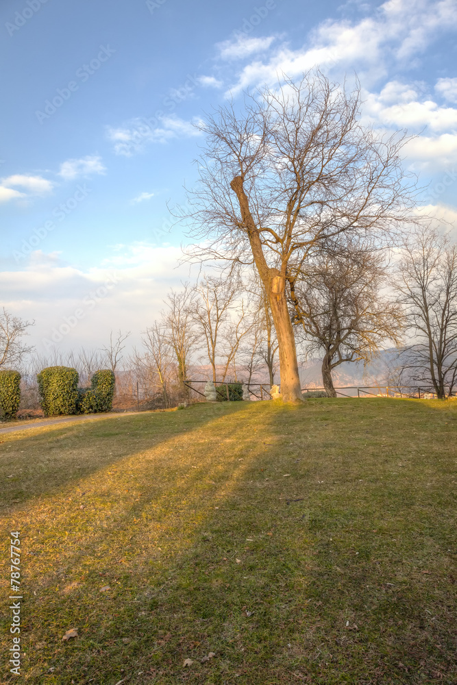 Fototapeta premium Oltrepo winter panorama. Color image