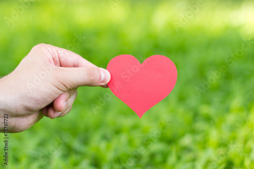 Hand holding paper heart.