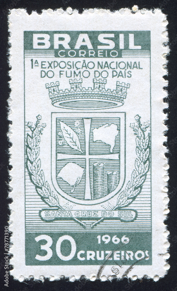 Obraz premium Arms of Santa Cruz