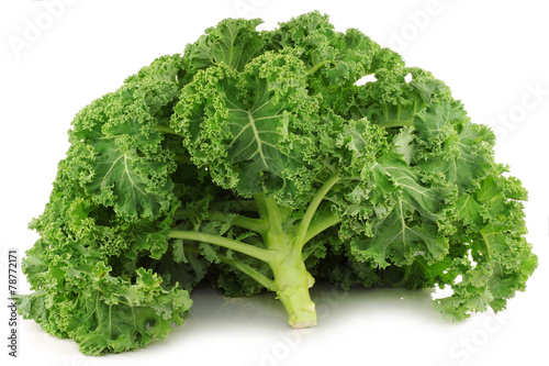 freshly harvested whole kale cabbage on a white background