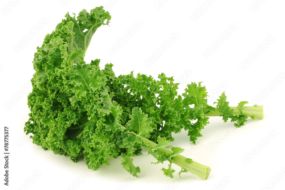 Obraz premium freshly harvested kale cabbage stems on a white background