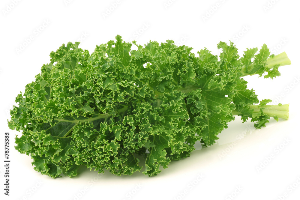 freshly harvested kale cabbage stems on a white background freshly harvested kale cabbage stems on a white background