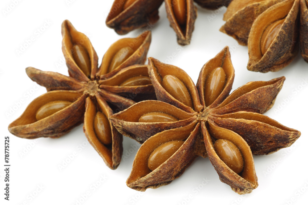 dried star anise (Illicium verum) on a white background dried star anise (Illicium verum) on a white background