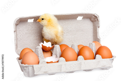 Eggs in the package with cute baby chick © koszivu