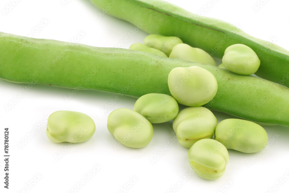 fresh Broad beans on a white background fresh Broad beans on a white background
