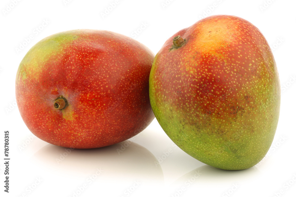 fresh mango fruits on a white background fresh mango fruits on a white background