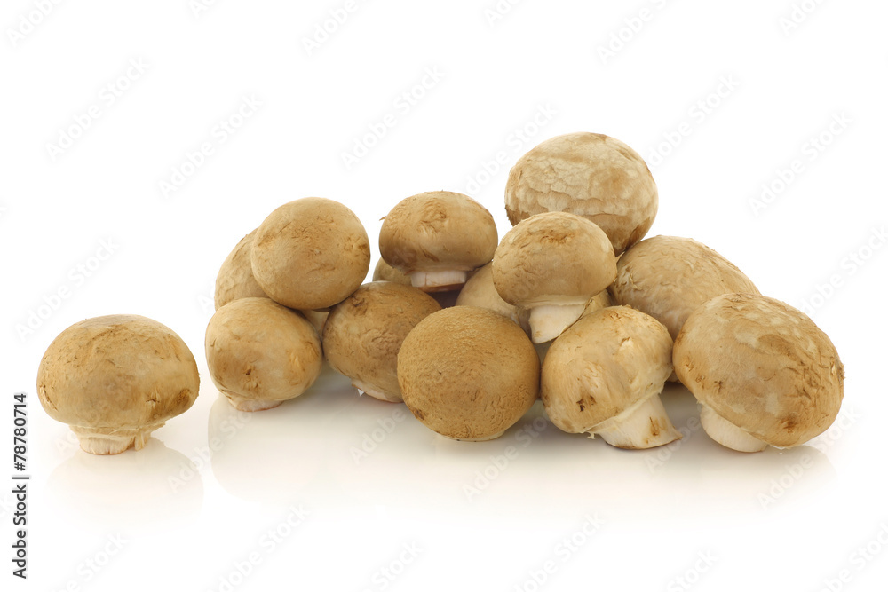 bunch of champignon mushrooms on a white background bunch of champignon mushrooms on a white background