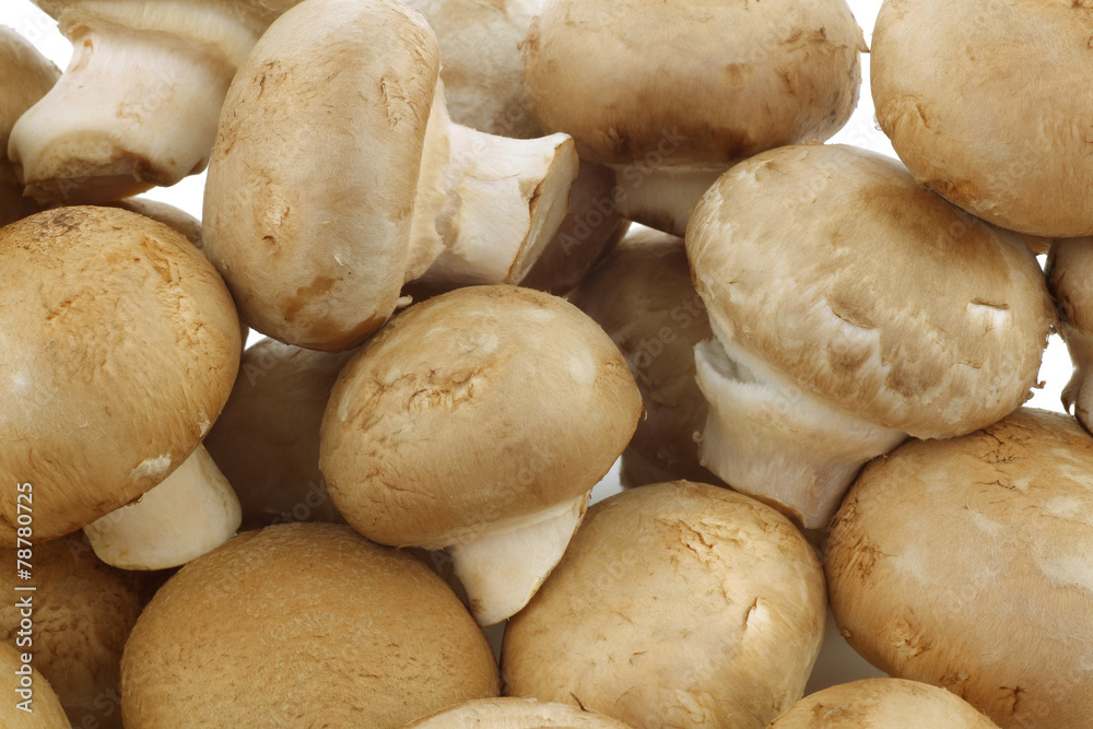 background of a bunch of fresh champignon mushrooms background of a bunch of fresh champignon mushrooms