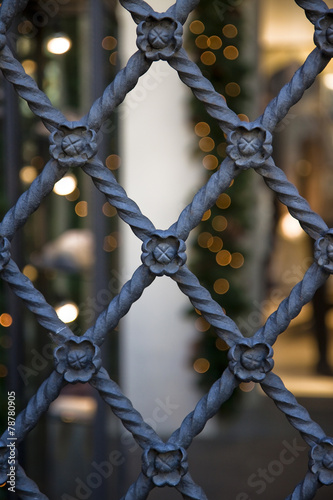 Old wrought iron gate with floral decorations (Tuscany - Italy)