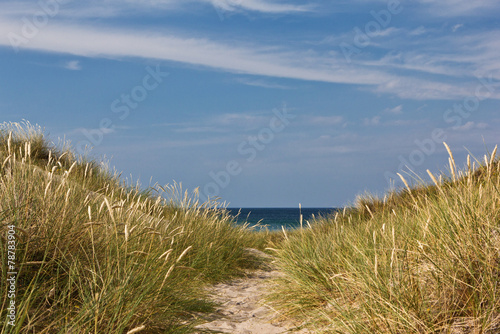 Strand in Tisvildeleje - D  nemark 4