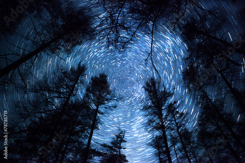 a beautiful night sky, Milky Way, star trails  and the trees