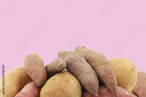 Bunch of mixed sweet potatoes on a pink background