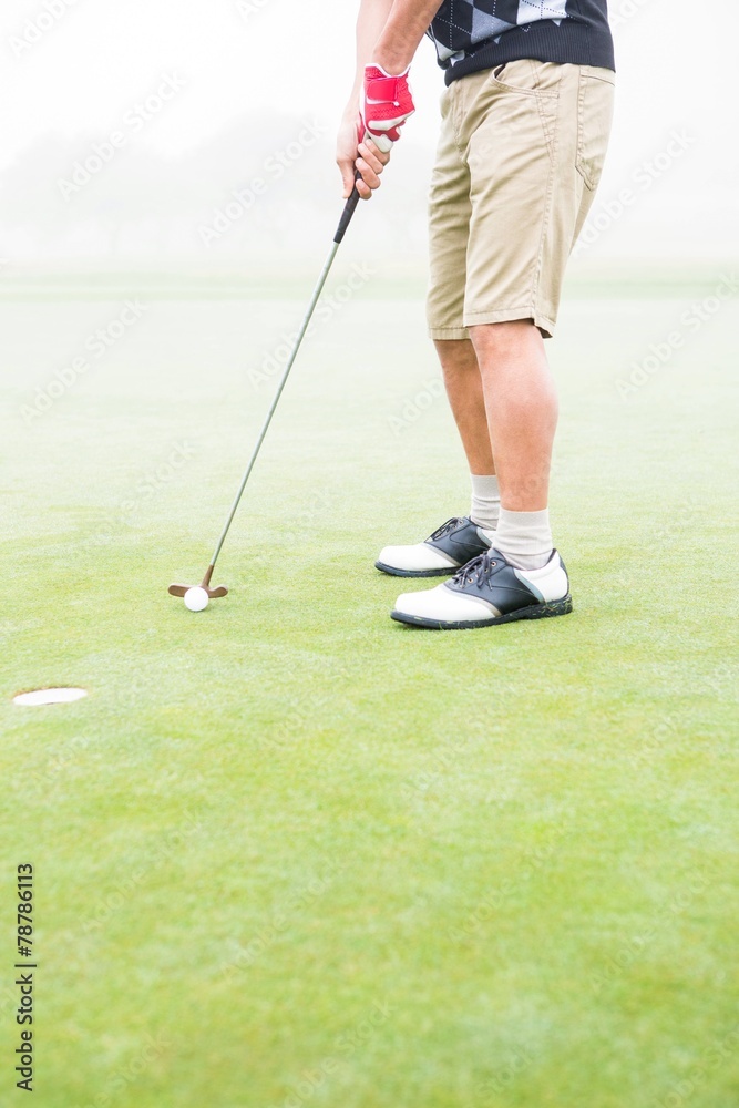 Obraz premium Golfer on the putting green at the hole