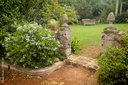Vintage Garden photo