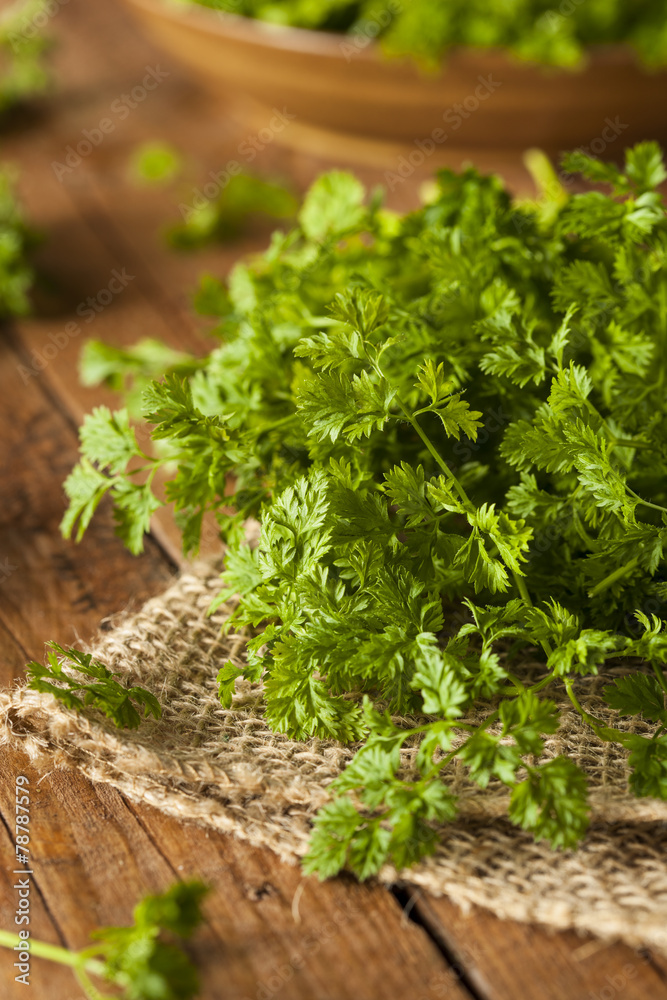 Raw Organic French Parsley Chervil Raw Organic French Parsley Chervil
