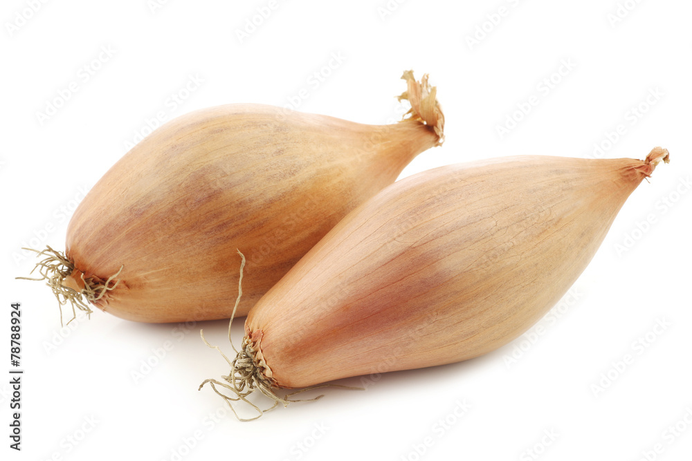 Foto two fresh shallots on a white background