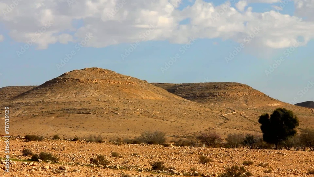 Negev desert at the spring on blue sky background, Israel Negev desert at the spring on blue sky background, Israel