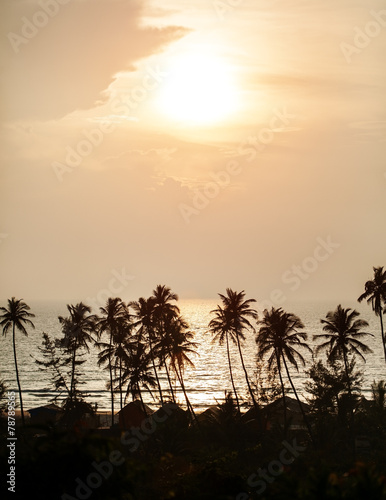Silhouette of palm trees at Goa, India