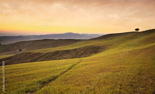 Farmland near Volterra  rolling hills on sunset. Rural landscape