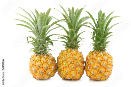 fresh mini pineapple fruit on a white background