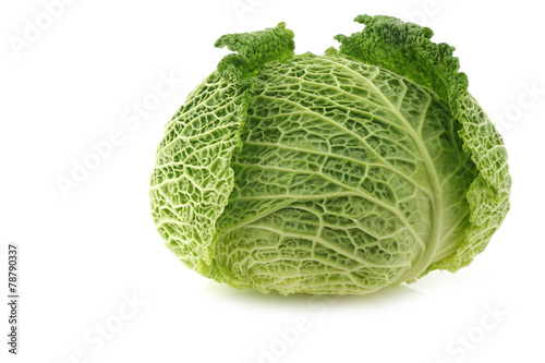 green cabbage on a white background