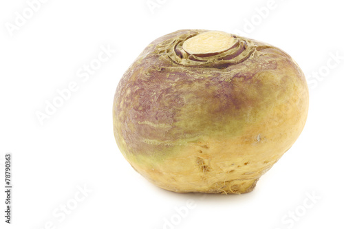 fresh turnip(Brassica rapa rapa) on a white background photo