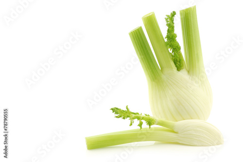 freshly cut fennel on a white background