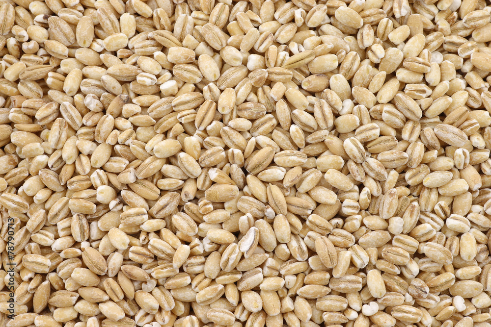 background of raw organic barley 