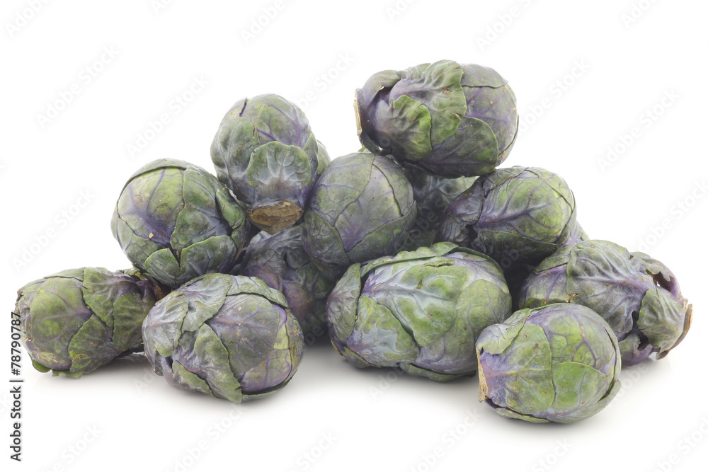 purple brussel sprouts on a white background purple brussel sprouts on a white background