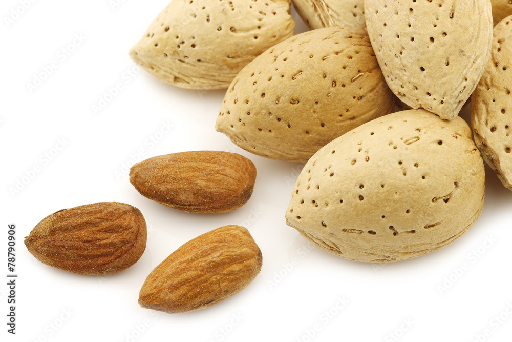 almonds on a white background almonds on a white background