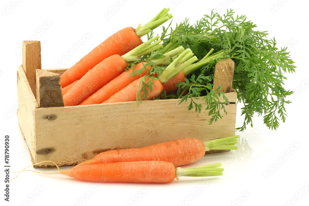 freshly harvested bunch of carrots in a wooden box on a white ba
