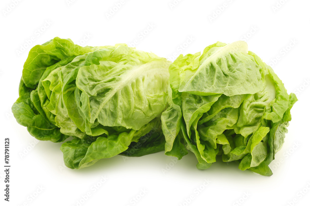 freshly harvested green freshly harvested green
