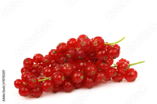 a string of red currant on a white background