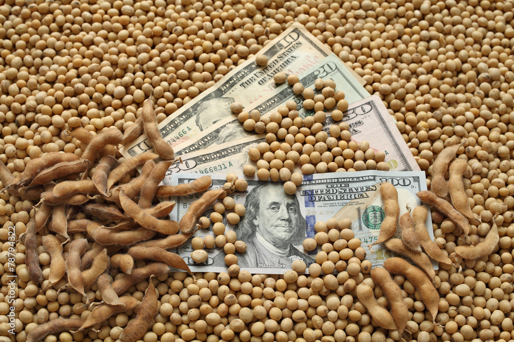 Obraz premium Agricultural concept, soybean and money, dollar banknote