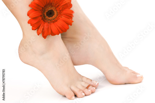 Female Naked Legs with Flower over white Backgroundked photo
