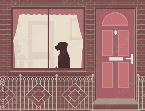 Window dog