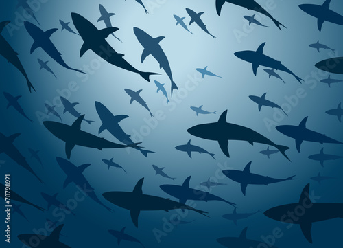 Obraz na plátně Shark school