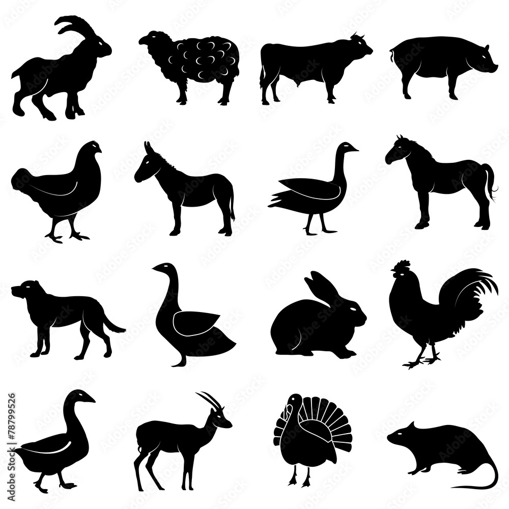 Farm animals icons set
