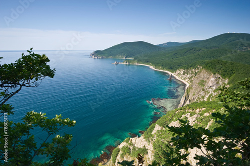 Top view of the coast of the East Sea. © vladsv