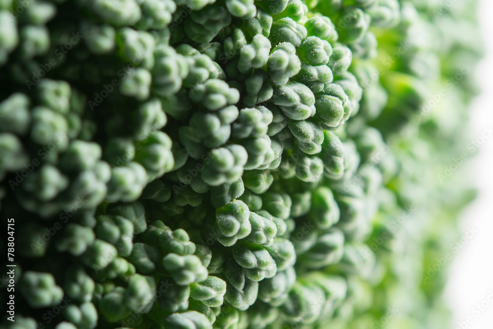 Broccoli macro texture Broccoli macro texture