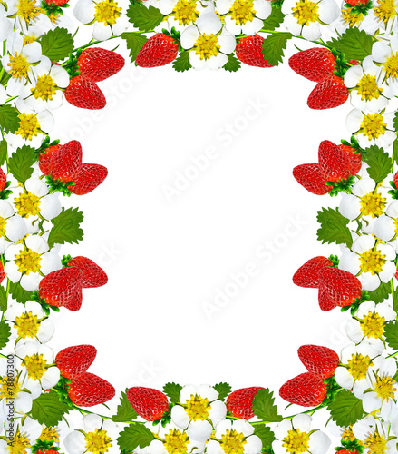 frame with berries and flowers of strawberry