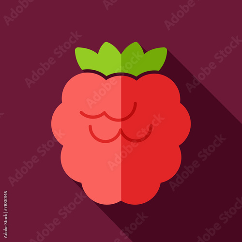 Raspberry flat icon with long shadow