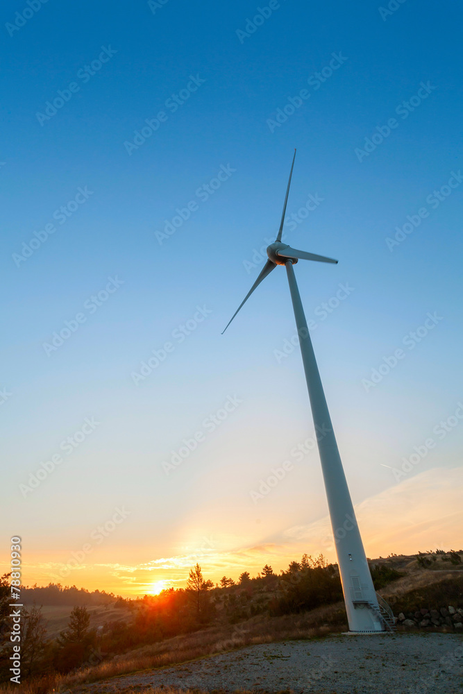 Obraz premium wind farm