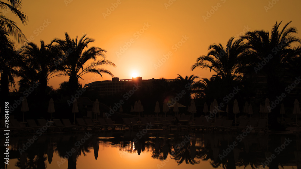 Obraz premium Orange Sunset With Palm Trees and Sun Reflection on Water
