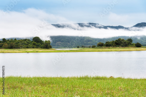 Nature in the dam with the grass field photo