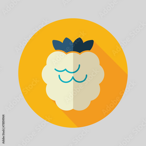 Raspberry flat icon with long shadow