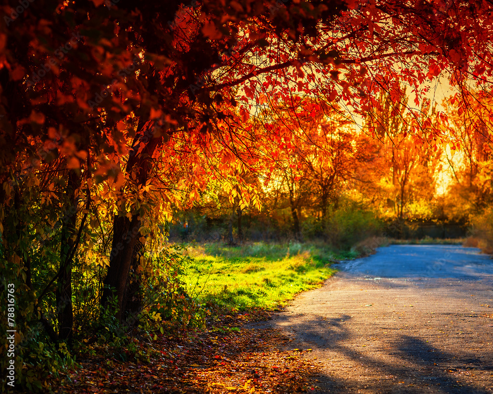 autumn autumn