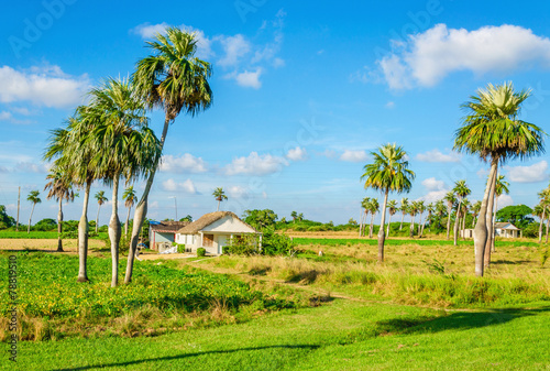Photography Beautiful tranquil rural landscape with a small farm, Cuba