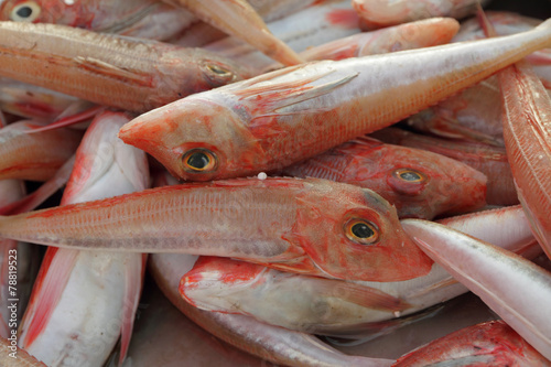 fresh fish on Mediterranean daily market, Marsaxlokk,Malta, Euro photo