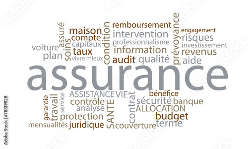 assurance nuage de mots